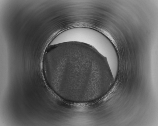 X0000093160946200710171207