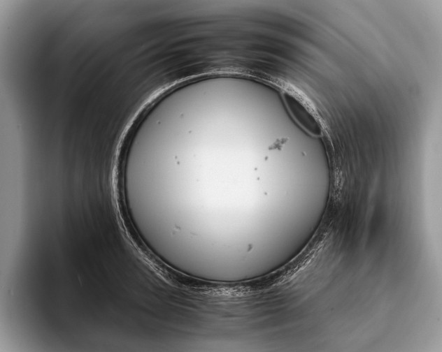 X0000093160947200710171207