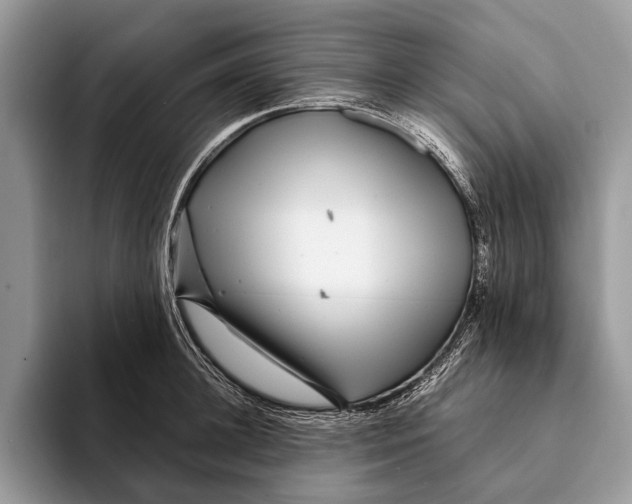 X0000093160948200710171207