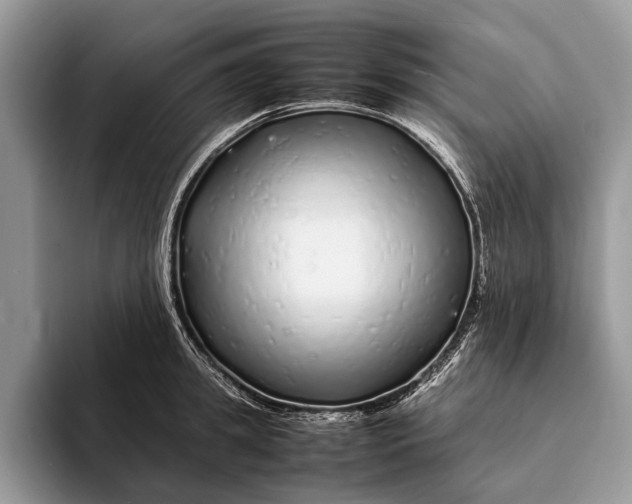 X0000093160949200710171207