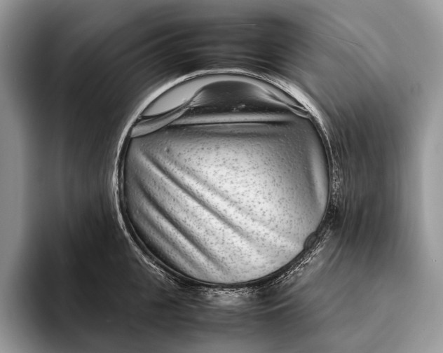 X0000093160951200710171207