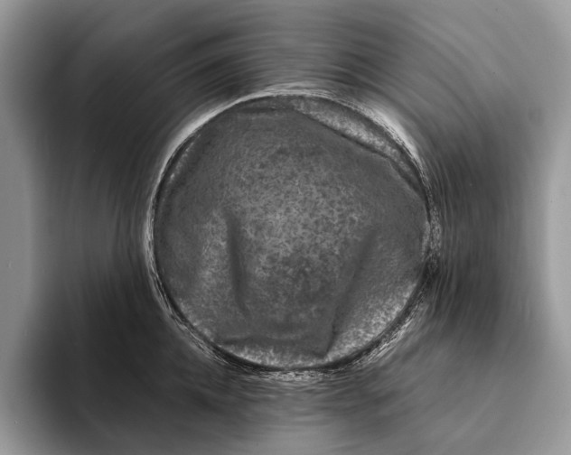 X0000093160952200710171207