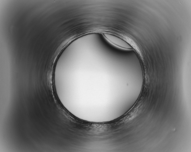 X0000093160954200710171207