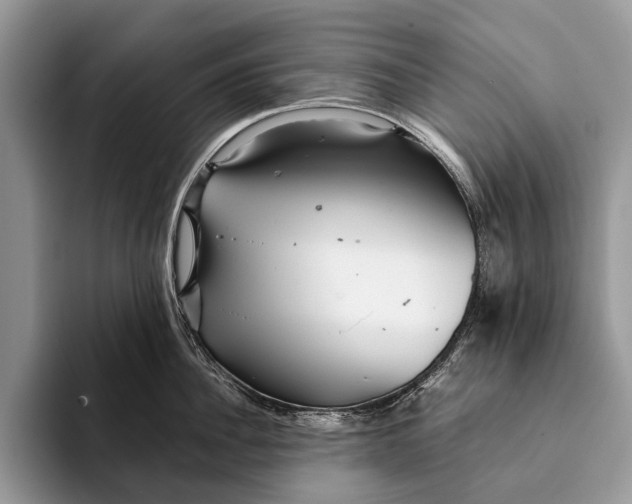 X0000093160956200710171207