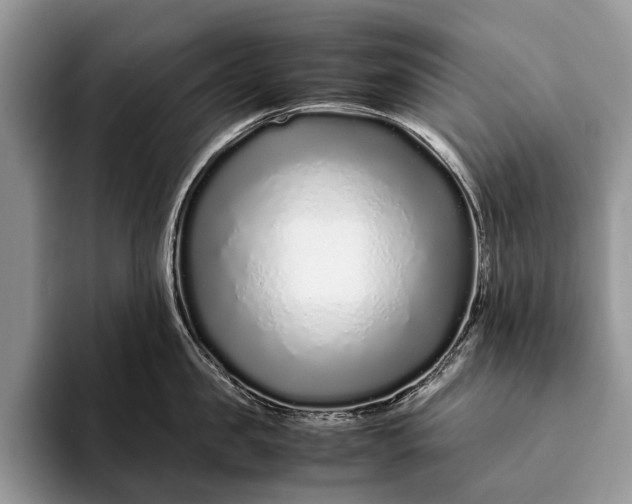 X0000093160957200710171207