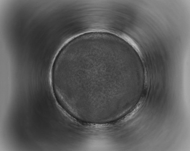 X0000093160958200710171207