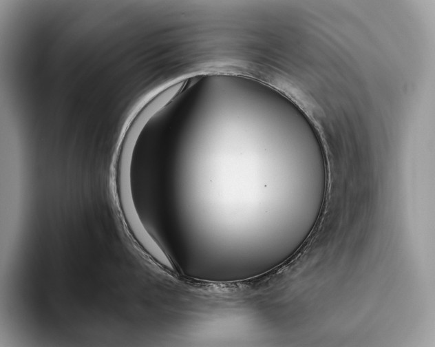 X0000093160960200710171207