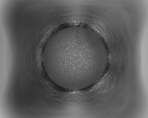 X0000093160961200710171207