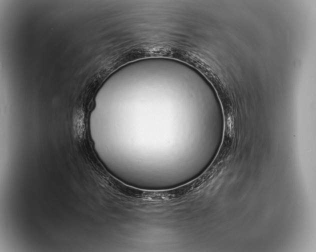 X0000093160963200710171207