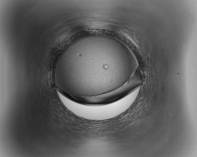X0000093160965200710171207