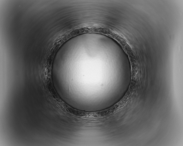 X0000093160966200710171207