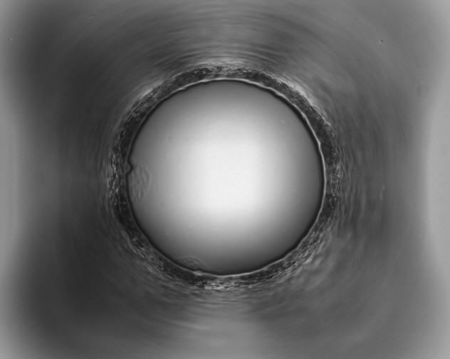 X0000093160967200710171207