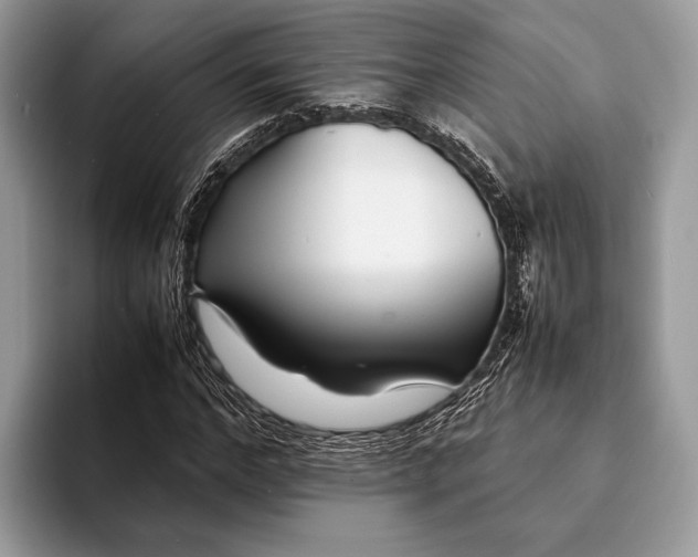 X0000093160968200710171207