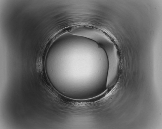 X0000093160969200710171207
