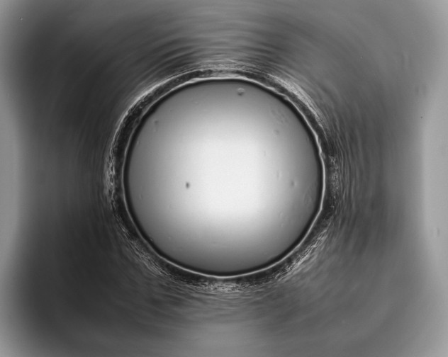X0000093160971200710171207