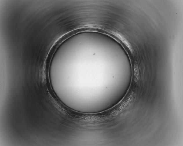 X0000093160972200710171207