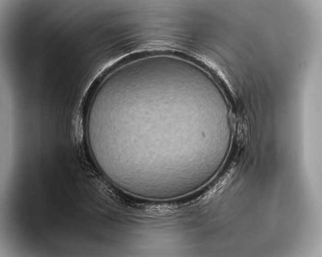 X0000093160973200710171206