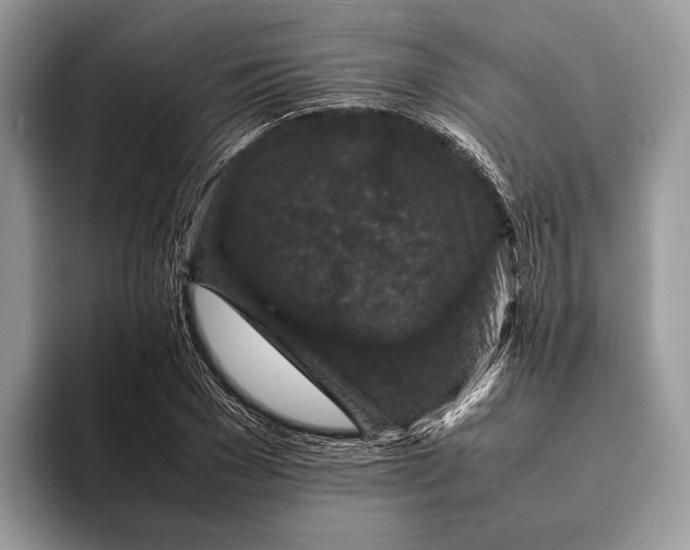 X0000093160977200710171206