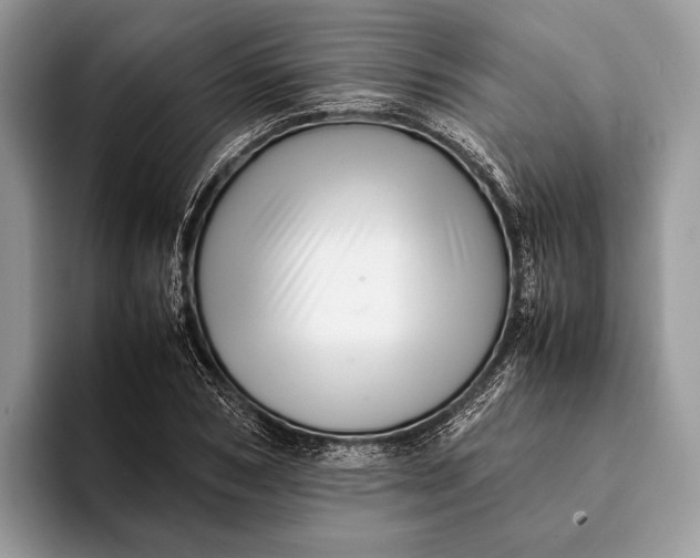 X0000093160978200710171206