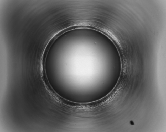 X0000093160980200710171206