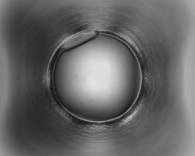 X0000093160981200710171206