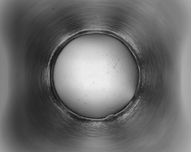 X0000093160982200710171206