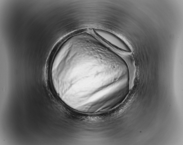 X0000093160983200710171206