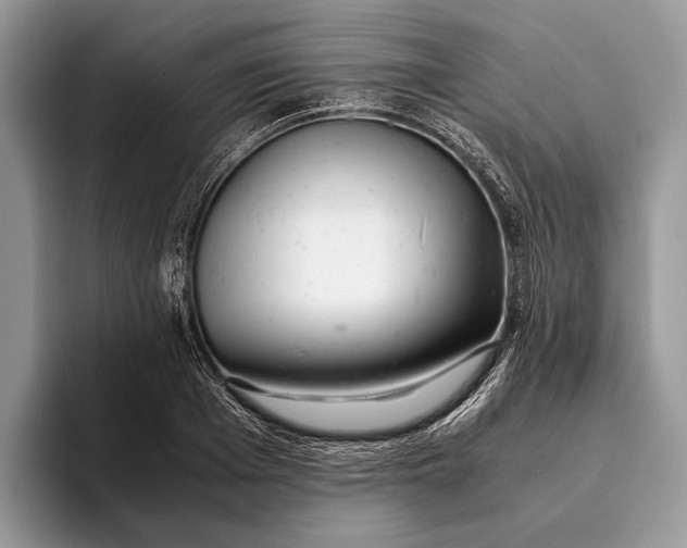 X0000093160985200710171206