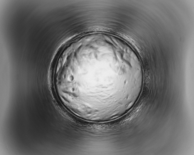 X0000093160987200710171206