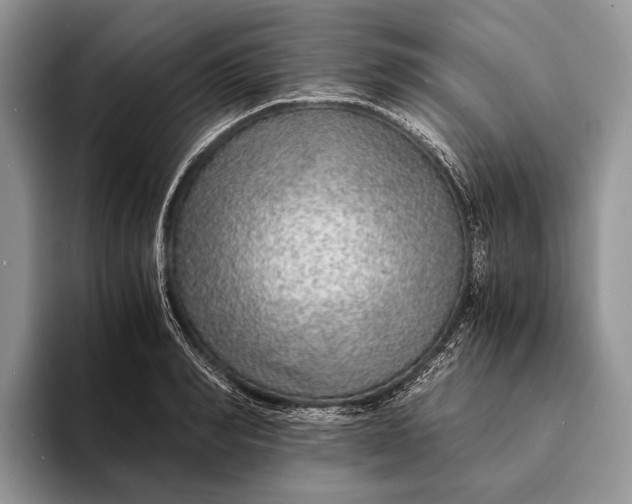 X0000093160990200710171206