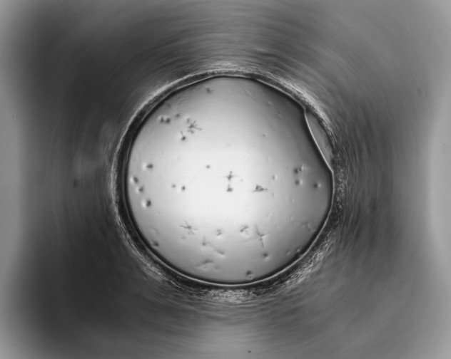 X0000093160991200710171206