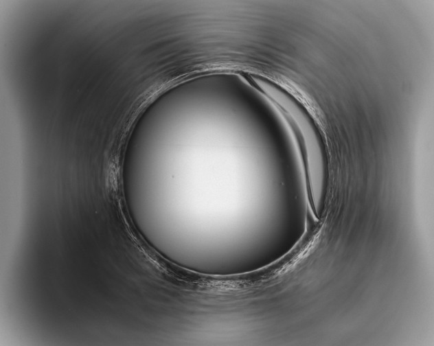 X0000093160993200710171206