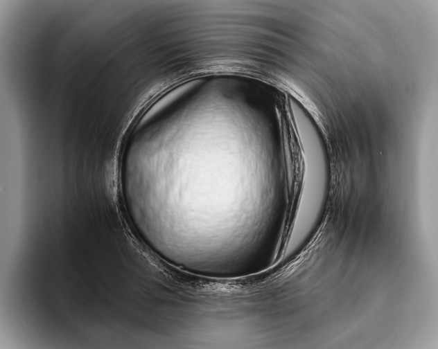X0000093160994200710171206
