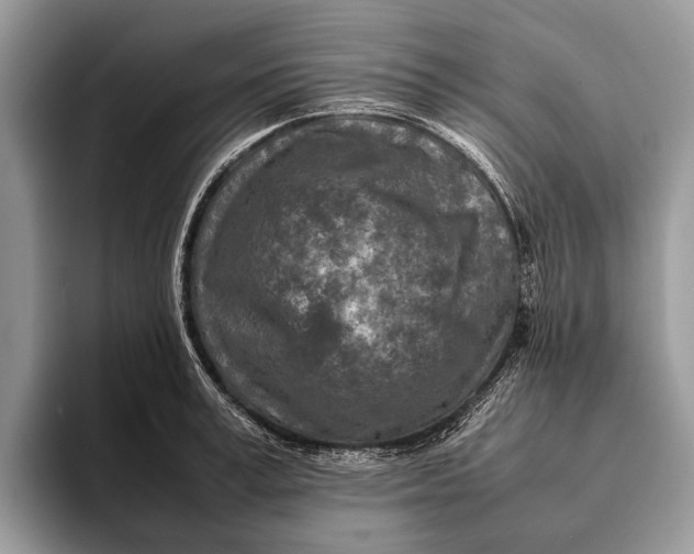 X0000093160995200710171206