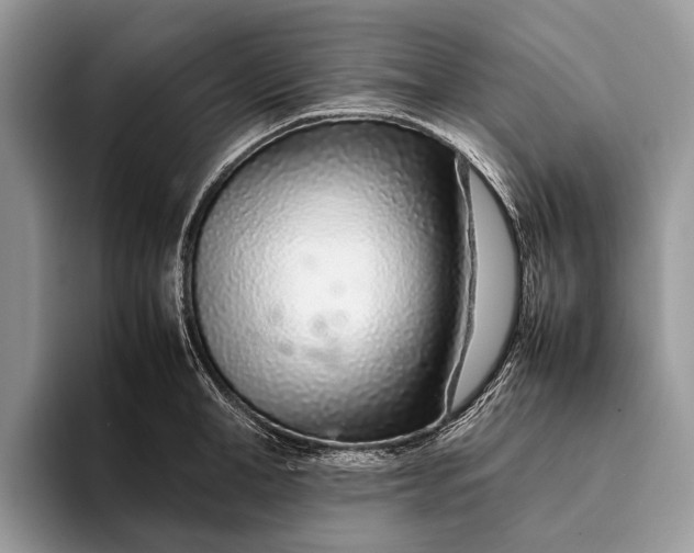 X0000093160998200710171206