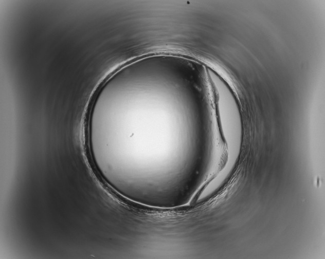 X0000093160999200710171206