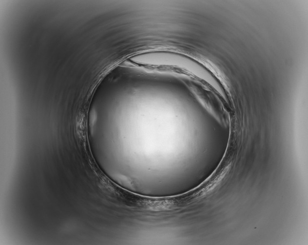 X0000093161001200710171206
