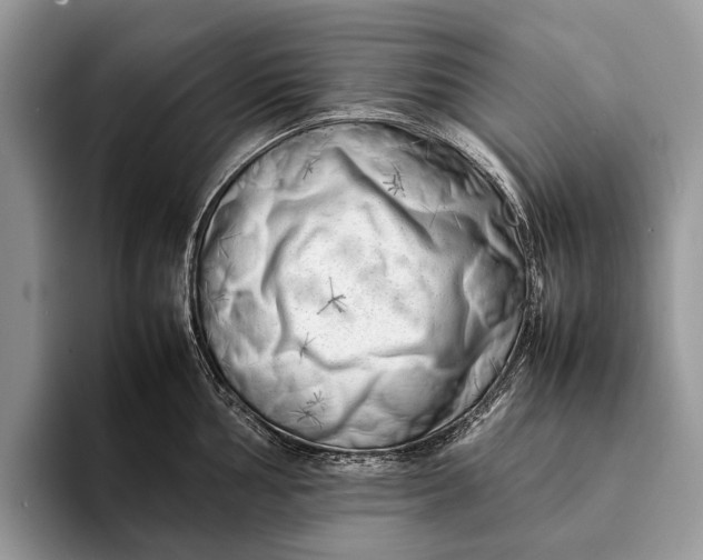 X0000093161002200710171206