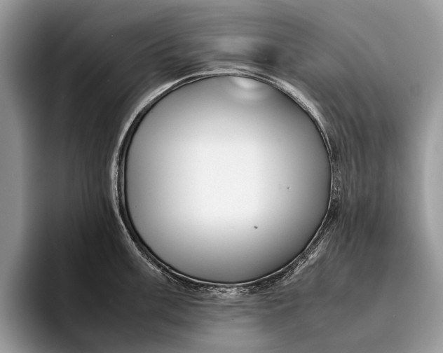 X0000093161003200710171206