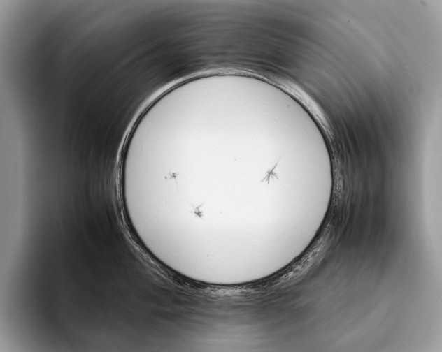 X0000093161004200710171206