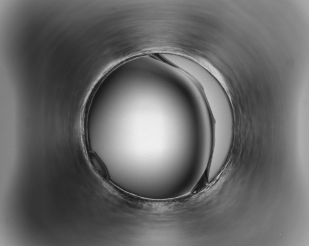 X0000093161005200710171206