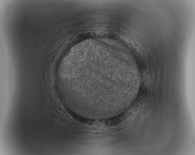 X0000093161009200710171206