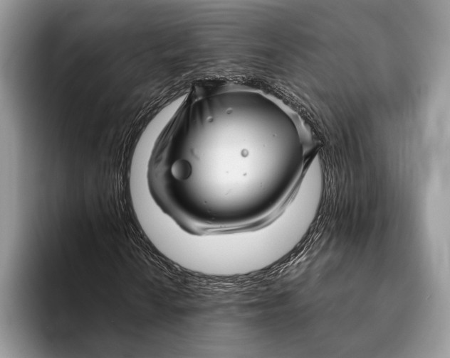 X0000093161010200710171206