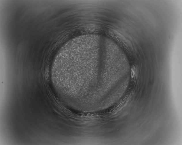 X0000093161011200710171206