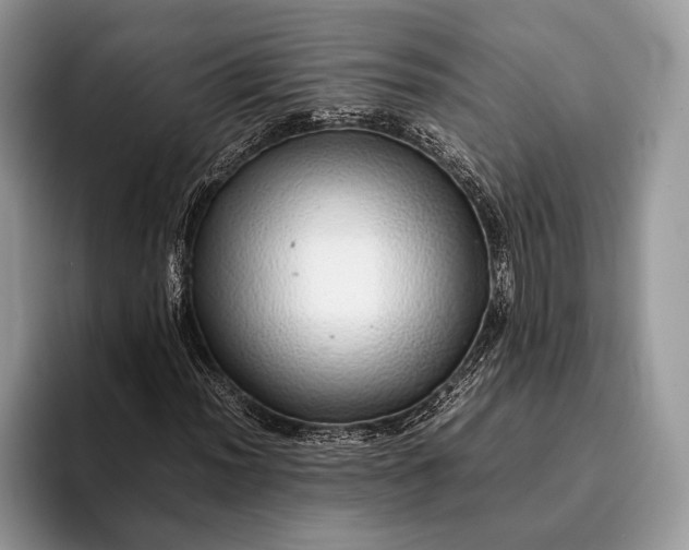X0000093161012200710171206