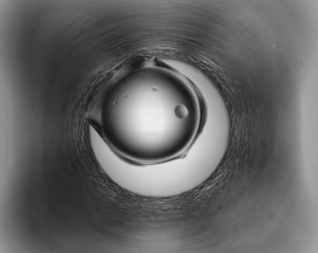 X0000093161014200710171206