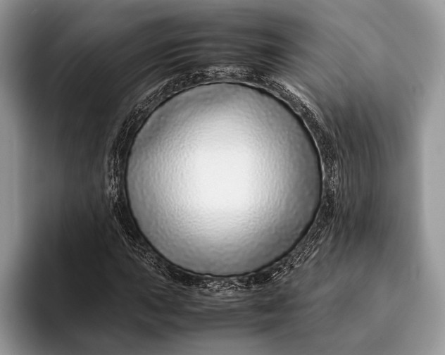X0000093161015200710171206
