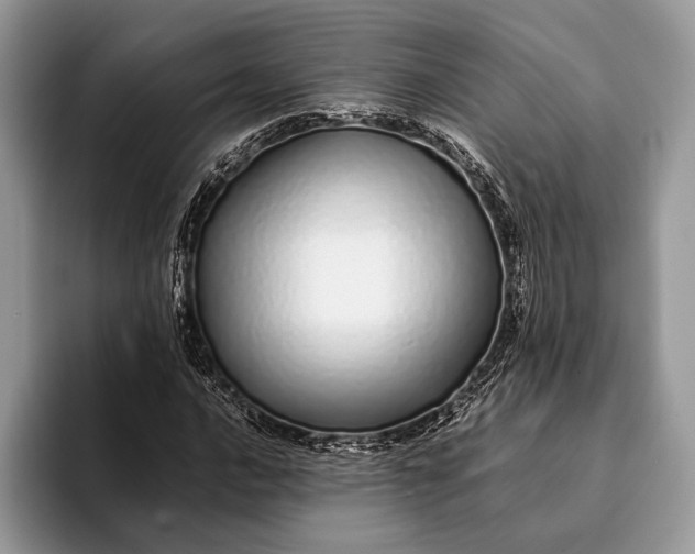 X0000093161016200710171206