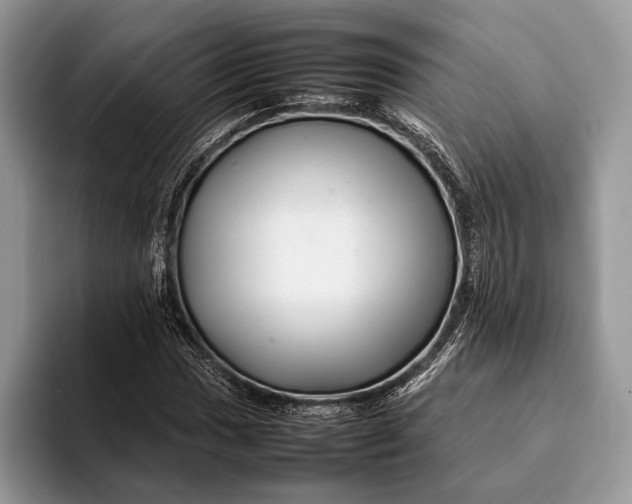 X0000093161017200710171206