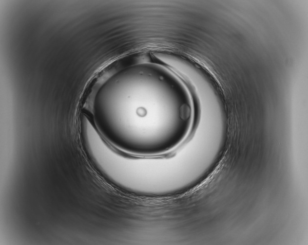 X0000093161018200710171206